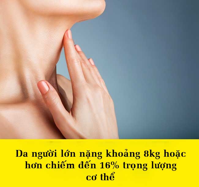 15 điều bất ngờ về cơ thể khiến bạn không thể tin được - 7