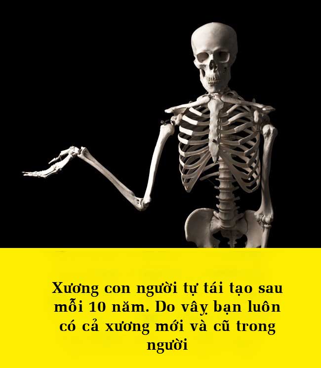 15 điều bất ngờ về cơ thể khiến bạn không thể tin được - 8
