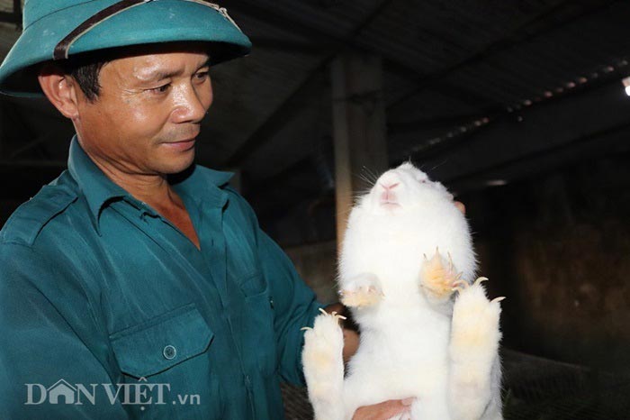 Từ nuôi thỏ, mỗi năm ông Hùng đút túi 100 triệu đồng.