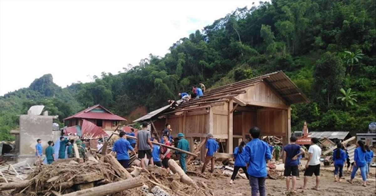 Tin tức trong ngày - Vì sao cây gỗ khủng gây thiệt hại kinh hoàng ở Sa Ná?