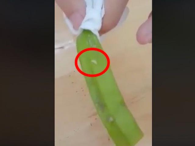 Tin tức trong ngày - Sinh viên tố căn-tin bán đậu bắp có dòi, KTX mời công an vào cuộc