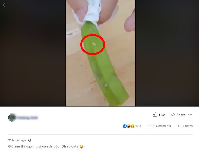 Có ít nhất 1 "sinh vật lạ" (được mô tả là dòi) được nhìn thấy trên đậu bắp. (Ảnh chụp màn hình)