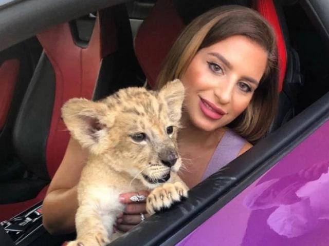 Bạn trẻ - Cuộc sống - Gái trẻ khiến fan hú vía khi khoe ảnh chụp cùng sư tử trên chiếc Lamborghini đắt đỏ