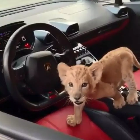 Natalia liên tục nhắc đến cái tên “Simba” trong bài viết của mình.