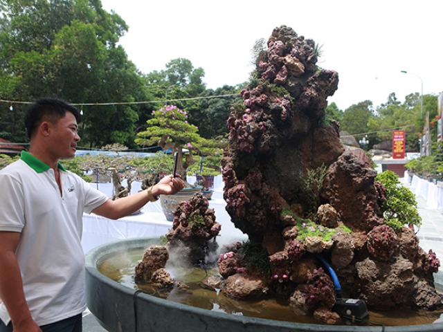 Thị trường - Tiêu dùng - Tích góp đá quý nhiều năm rồi làm hòn non bộ khổng lồ, rao bán 2 tỷ đồng