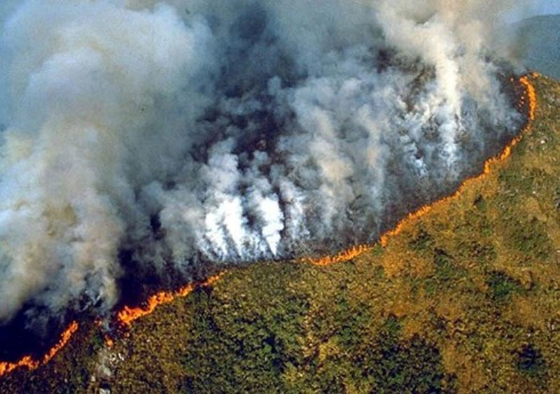 Cháy rừng ở Amazon diễn biến phức tạp.