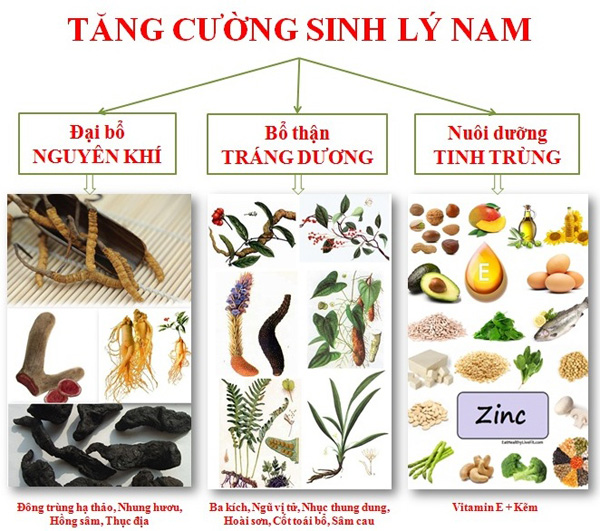 Cải thiện sinh lý từ các loại thảo dược thiên nhiên quý hiếm