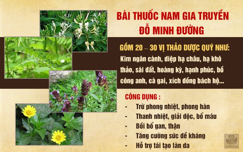 Da vẽ nổi là bệnh gì? Biểu hiện dị ứng da vẽ nổi và cách điều trị hiệu quả - 4