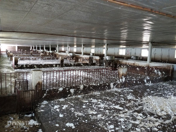 Mọi khâu khử trùng, tiêu độc đã được ông Mừng xử lý xong để chờ ngày nuôi lợn trở lại.
