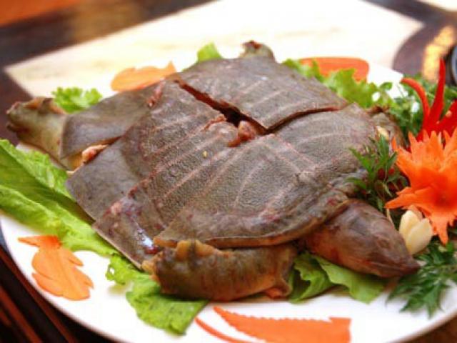 Ẩm thực - Ba ba rất ngon, bổ dưỡng nhưng cần phải biết điều này trước khi ăn kẻo rước bệnh vào người