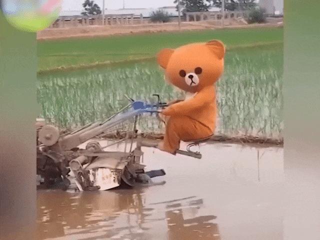 Video Clip Cười - Thần tiên cũng phải "phát điên" với độ lầy lội của con người