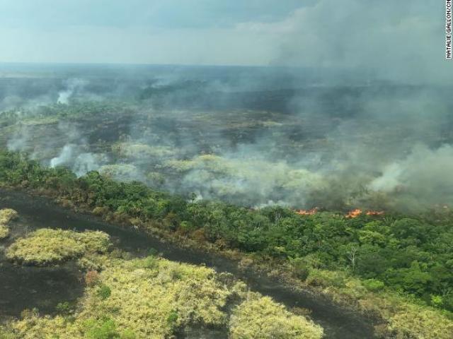 Cháy rừng kinh hoàng ở Amazon: Cả một vùng chỉ còn là sự chết chóc