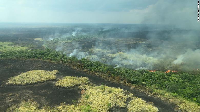 Cháy rừng ở Amazon tiếp tục diễn biến phức tạp.