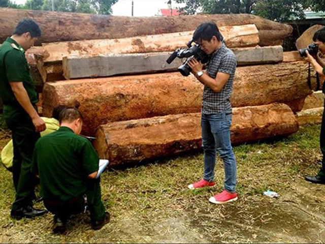 Pháp luật - Ai tiếp tay cho trùm sòng bạc "khủng" ở Gia Lai tổ chức cướp gỗ?