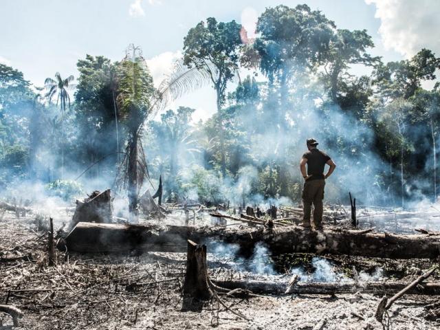 Media - Xót xa cảnh "lá phổi xanh" của Trái Đất hóa "Hỏa Diệm sơn"