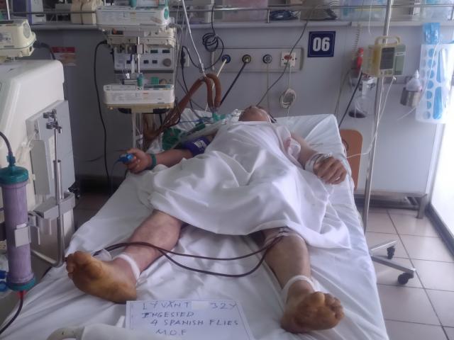 Sức khỏe đời sống - Đổ xô đi săn lùng sâu bọ có giá hơn 1 triệu đồng/kg: Ăn một con có thể tử vong