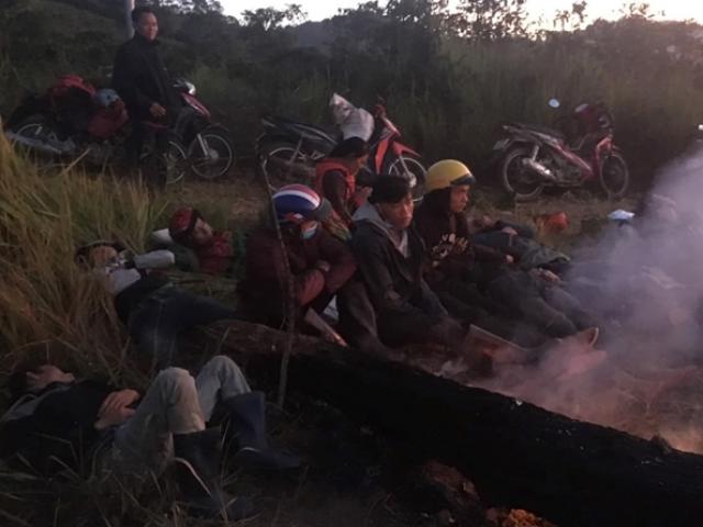 Thị trường - Tiêu dùng - Nhiều người đổ vào rừng tìm cây giống sâm Ngọc Linh