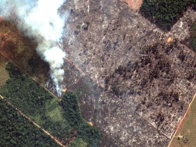 Những sự thật về cháy rừng Amazon