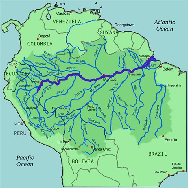 Bản đồ hiển thị lưu vực sông Amazon với sông Amazon được làm nổi bật. Ảnh: Wikipedia.