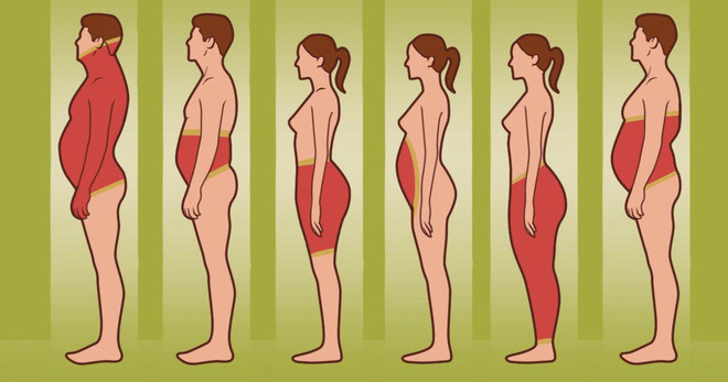 Mỡ thừa thường tích tụ tại các vị trí như bụng, lưng, hông, đùi...