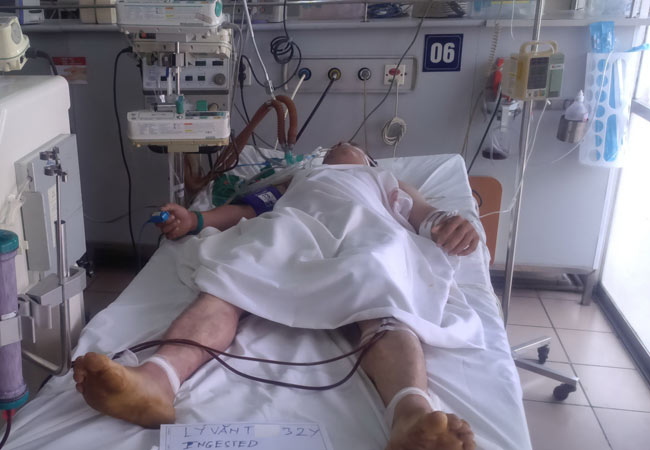 Một bệnh nhân ngộ độc sâu ban miêu được điều trị tại Trung tâm Chống độc.