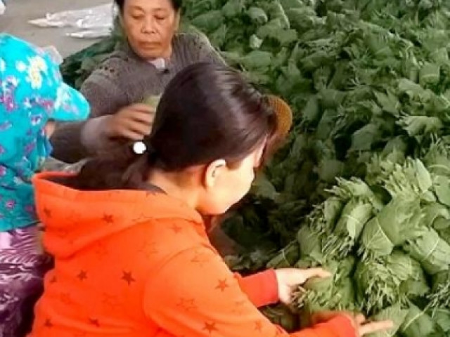 Thị trường - Tiêu dùng - Chuyện lạ An Giang: Thắp điện trồng tía tô lấy lá bán sang Hàn Quốc