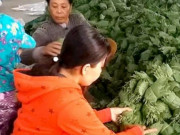Thị trường - Tiêu dùng - Chuyện lạ An Giang: Thắp điện trồng tía tô lấy lá bán sang Hàn Quốc