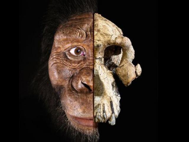 Khuôn mặt của tổ tiên loài người cách đây 3,8 triệu năm