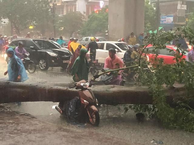 Hà Nội: Cuồng phong bất ngờ trước bão số 4, cây đổ la liệt, một người thiệt mạng