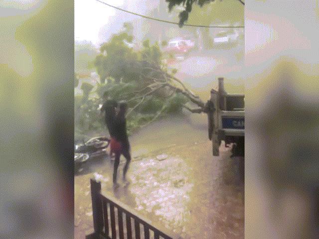 Ảnh-clip: Sấm sét, lốc xoáy kinh hoàng nhổ bật gốc cây trên phố Hà Nội