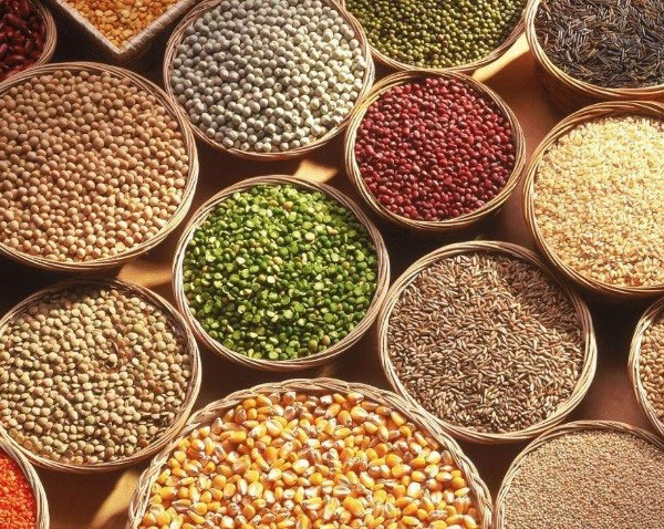 Độn cơm trắng với các loại hạt đang là xu hướng giảm cân của giới trẻ