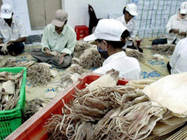 Thị trường - Tiêu dùng - Hàng trăm tấn thủy sản tắc ở cửa khẩu do Trung Quốc tăng kiểm soát