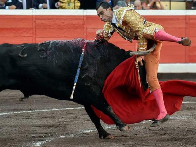 Thể thao - Kinh hãi 2 vụ đấu bò: VĐV bị húc trúng "chỗ hiểm", một người bỏ mạng