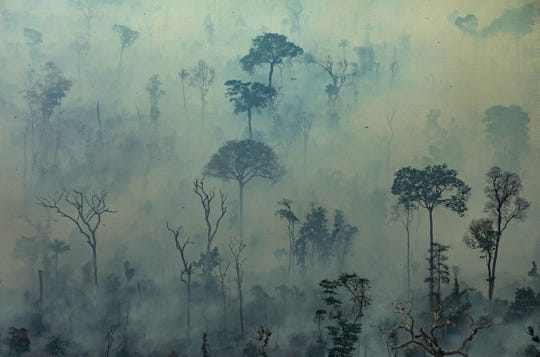 Hàng chục nghìn vụ cháy đang tàn phá nghiêm trọng khu rừng lớn nhất thế giới (Ảnh: GETTY)