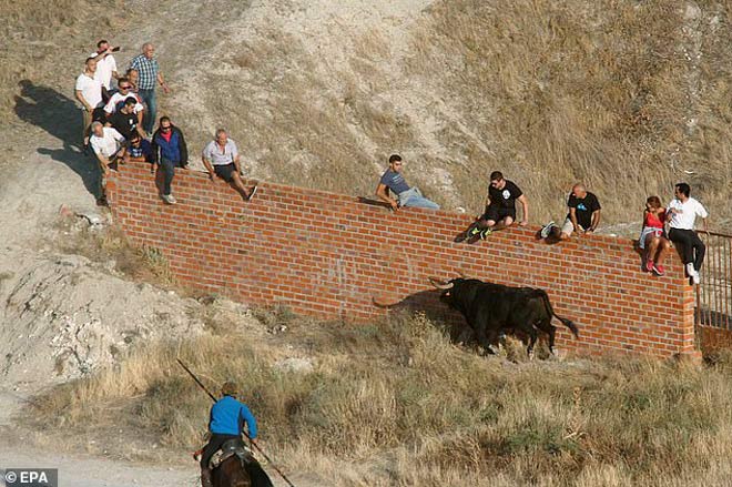 ...bò húc chết người đàn ông 62 tuổi