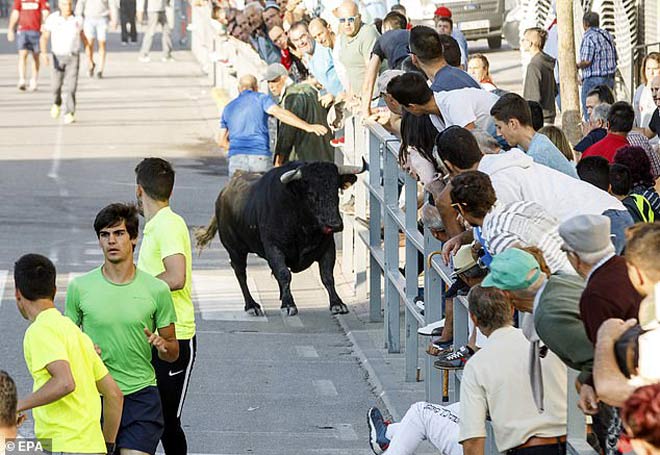 Tại thị trấn Cuellar, phía bắc thành phố Madrid...