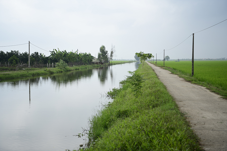 Sông Tính Linh, đoạn người dân làng Động Xá nhiều lần đào trúng mộ thân cây.