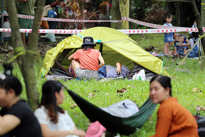 Người dân mắc võng, trải bạt, dựng lều ngủ la liệt trong Thảo Cầm Viên. Ở dưới các tán cay có bóng mát đều chật kín người ngồi, nằm.