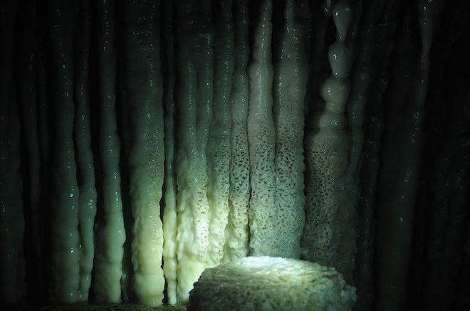 Theo nhiều tài liệu khoa học, động Thiên Đường có từ 4 - 5 triệu năm trước, trong khi những thạch nhũ bên trong đã bắt đầu hình thành từ hàng trăm triệu năm trước -thời khủng long (kỷ Jura).