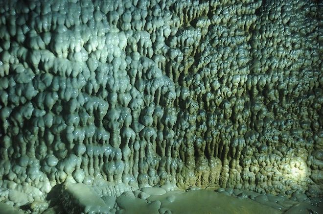  Động Thiên Đường được chia làm nhiều khoang, khoang rộng nhất có chiều rộng lên đến 150m, chiều cao 100m.