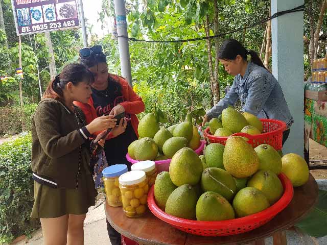 Bưởi trụ lông làng Đại Bình là giống bưởi bản địa, có đặc điểm trái nhỏ (trọng lượng trung bình từ 1-1,2kg/trái khác với bưởi Năm Roi ở miền Nam có quả to, trọng lượng từ 3-4kg/trái).