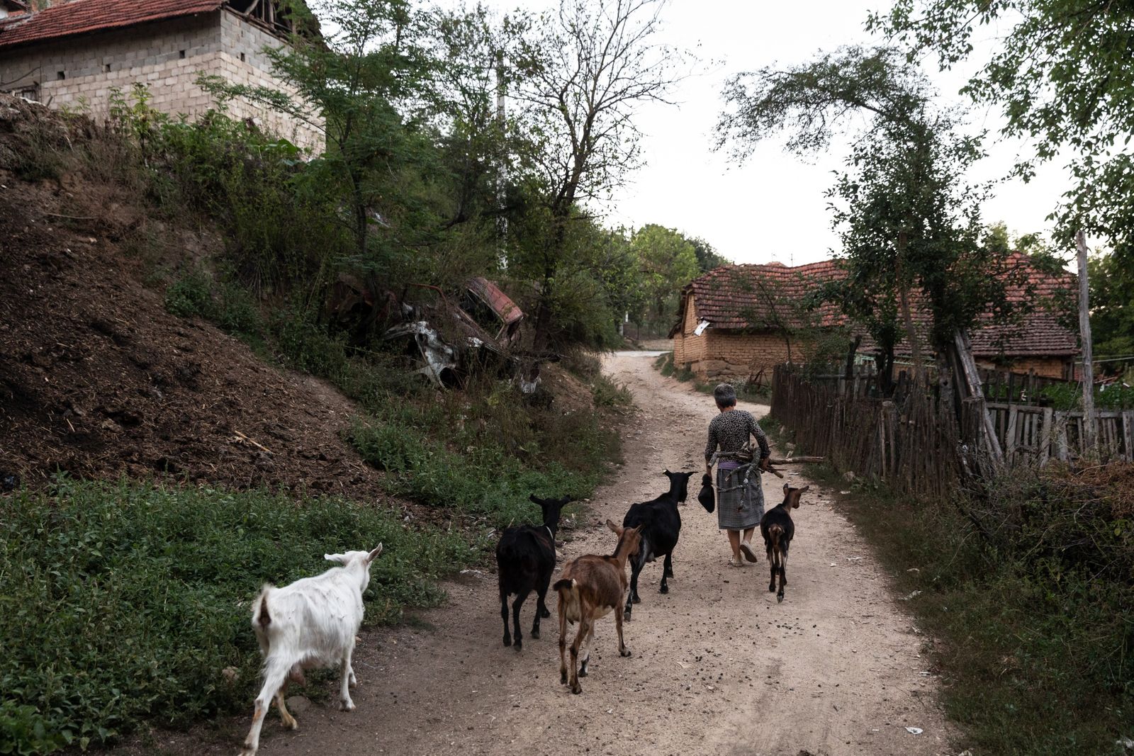 Phần lớn Serbia là những vùng nông thôn nghèo đói (Nguồn: BI)