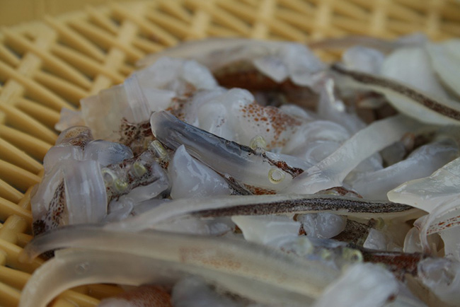 Những món trông ngon lành có thể giết chết chết bạn nếu ăn không đúng cách - 6