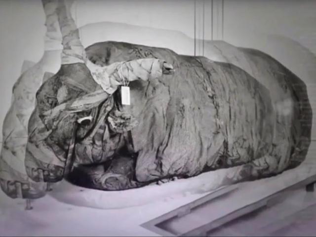 Phi thường - kỳ quặc - Khám phá "thế giới của người chết", phát hiện hàng triệu xác ướp động vật