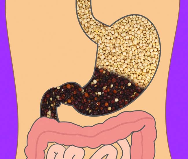 Bất ngờ với thời gian để cơ thể tiêu hóa các thực phẩm quen thuộc - 10