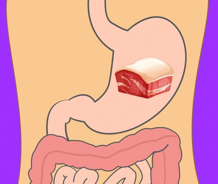 Bất ngờ với thời gian để cơ thể tiêu hóa các thực phẩm quen thuộc - 15