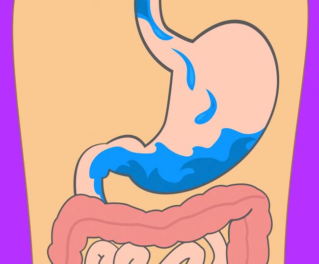 Bất ngờ với thời gian để cơ thể tiêu hóa các thực phẩm quen thuộc - 3