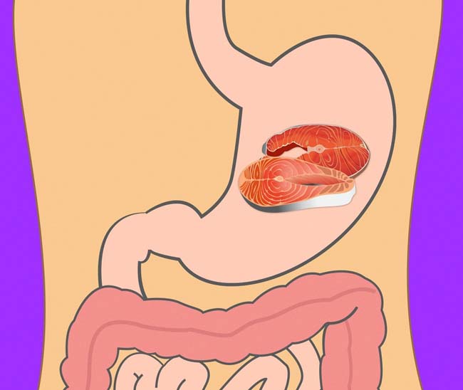 Bất ngờ với thời gian để cơ thể tiêu hóa các thực phẩm quen thuộc - 7