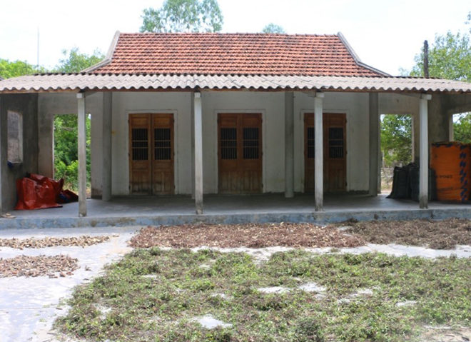 Người dân thị trấn Phú Đa chặt trầm gió phơi khô bán cho thương lái.