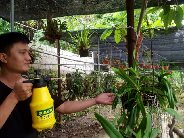 Thị trường - Tiêu dùng - 8X Lạng Sơn mê phong lan rừng: Kiếm trăm triệu từ 1 câu "nhỡ mồm"